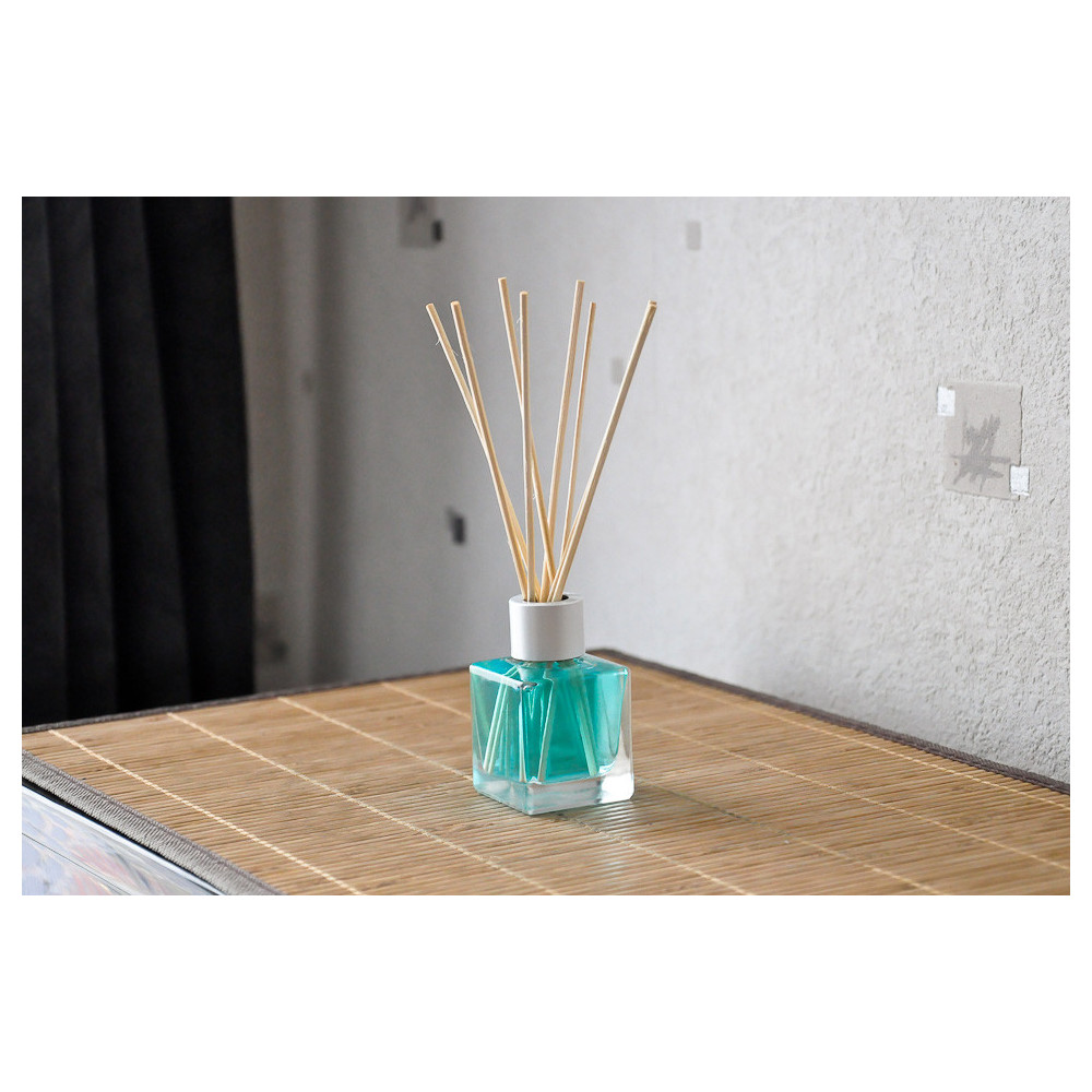 Diffuseur de parfum 60 ml senteur Océan avec 2 sachets parfumés Diffuseur de parfum 60 ml senteur Océan avec 2 sachets parfumés