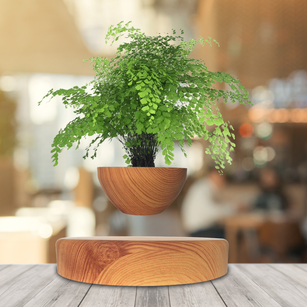 Mini-jardin en lévitation Babylonia aspect bois Mini-jardin en lévitation Babylonia aspect bois