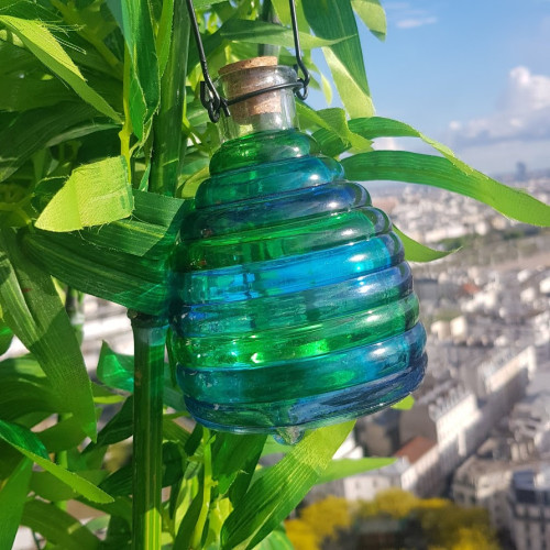 Pièges à guêpes en verre...