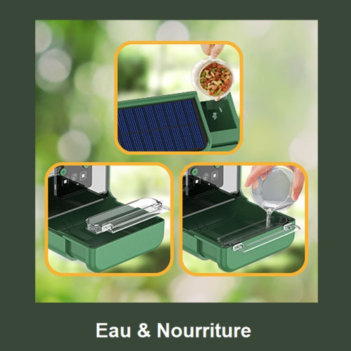 Mangeoire à oiseaux avec...