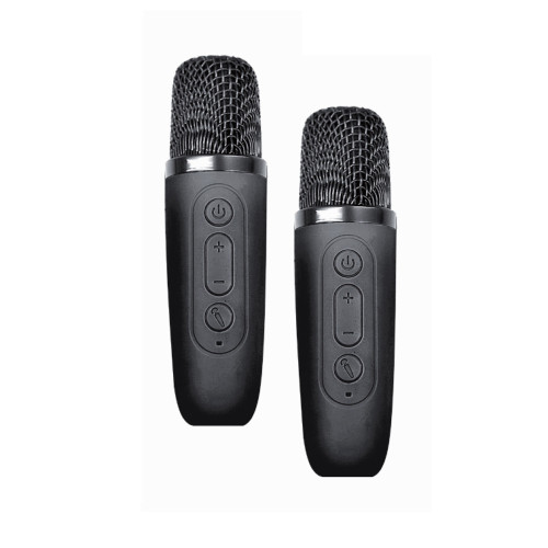 Enceinte Bluetooth KARAOKE...