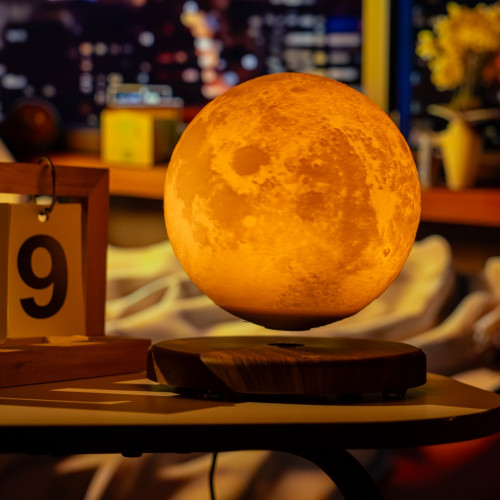 Globe Lune 3D en...