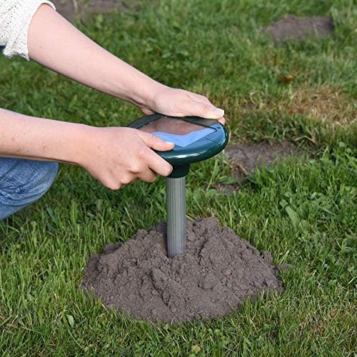 Chasse-taupe solaire...